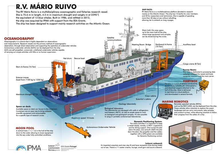 RV Mário Ruivo