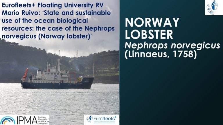 RV MARIO RUIVO FLOATING UNIVERSITY –‘NORWAY LOBSTER Nephrops norvegicus (Linnaeus, 1758)’.