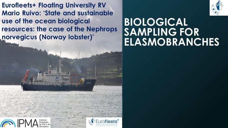 RV MARIO RUIVO FLOATING UNIVERSITY –‘BIOLOGICAL SAMPLING FOR ELASMOBRANCHES’.