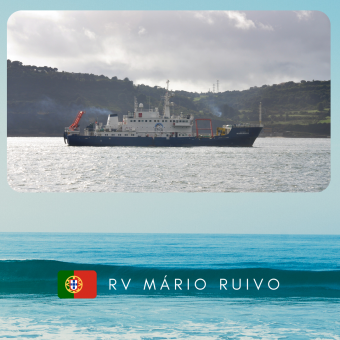 mario ruivo rv image